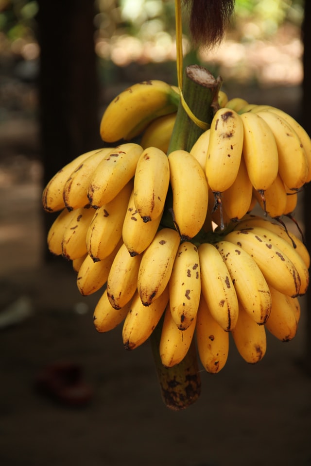 Banane_Toulon_Cours_Lafayette